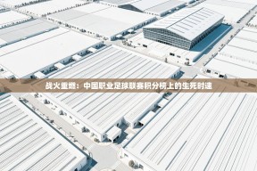 战火重燃：中国职业足球联赛积分榜上的生死时速