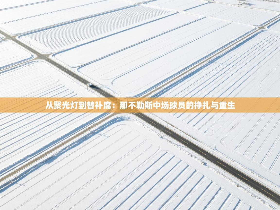 从聚光灯到替补席：那不勒斯中场球员的挣扎与重生  第2张