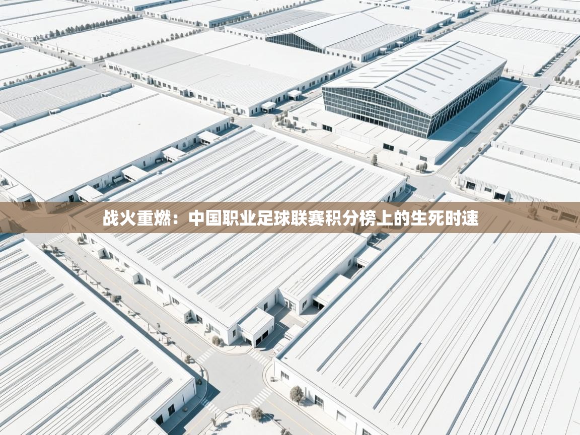 战火重燃:中国职业足球联赛积分榜上的生死时速 第1张