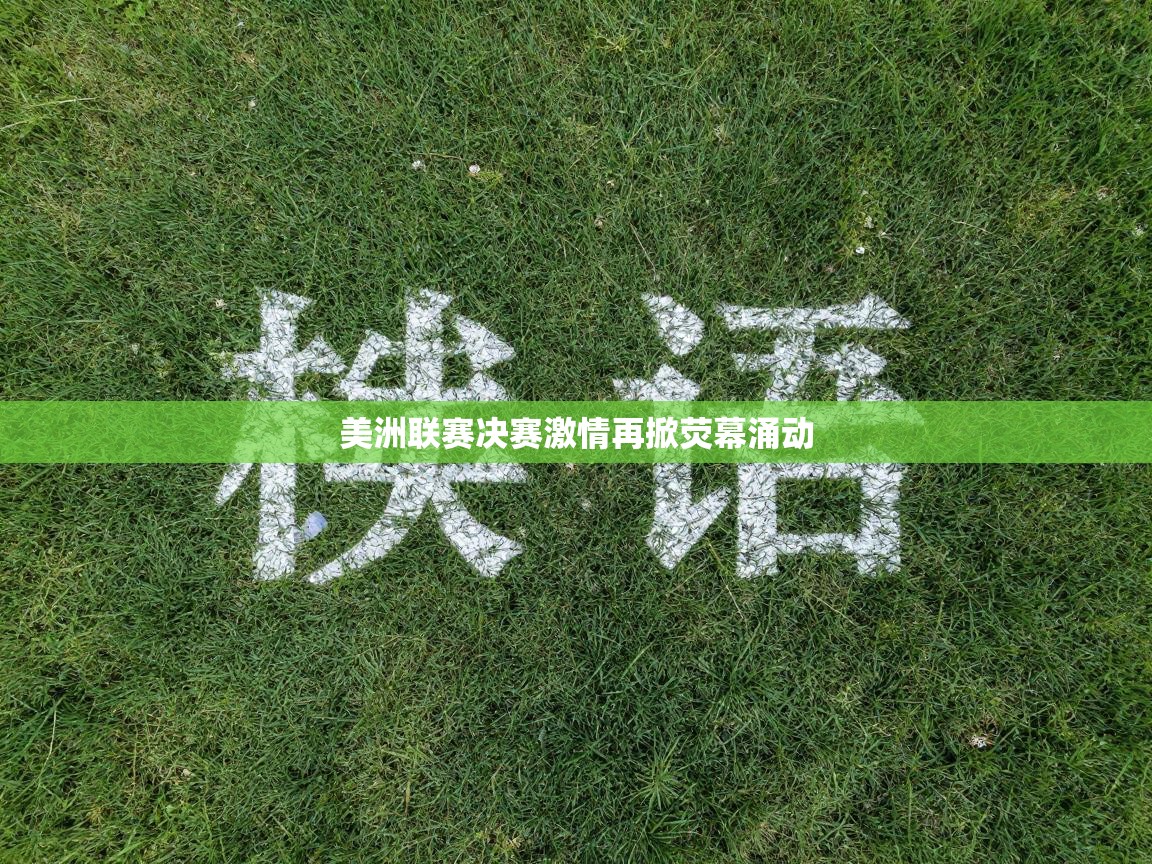 美洲联赛决赛激情再掀荧幕涌动  第2张